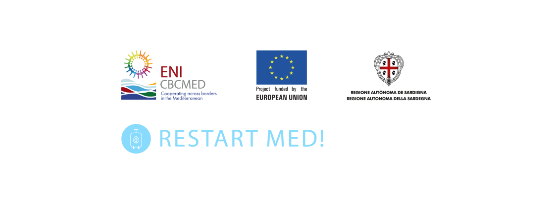 Reinforcing Med Microfinance Network System for Start-ups